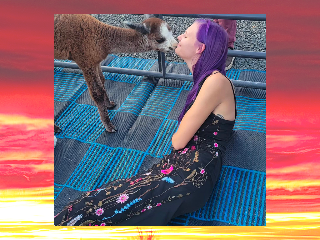Baby Alpaca Connection